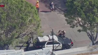 Pursuit suspect leads officers on a chase in a suspected stolen BMW