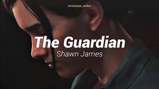 Shawn James - The Guardian (Ellie's Song) • Sub español & inglés