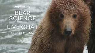 Bear Science | Brooks Live Chat