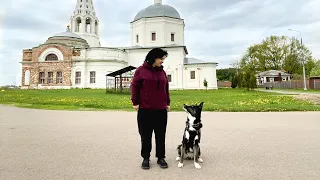 СЕРПУХОВ-едем погулять с собакой 👩🐶 ИНТЕРЕСНЫЕ места, отличия от Москвы и мои впечатления от города!