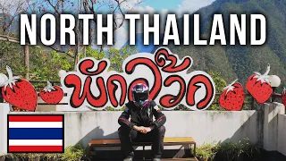 42. NORTHERN THAILAND - Back on the bike! Mae Hong Son loop | Round the World on a Fireblade