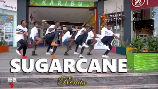 Sugarcane Remix - Camidoh ft King Promise (Official Dance Video) | Dance Republic Africa