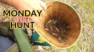 Monday mushroom hunting