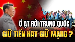 Vì Sao Người Nước Ngoài Ồ Ạt  Rời Trung Quốc, Họ Gửi Lời Tiên Tri Gì Cho Người Ở Lại | Ngẫm Thân Tâm