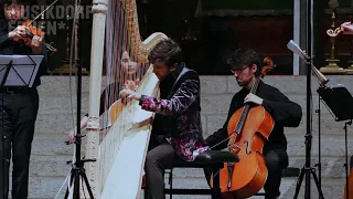 Claude Debussy: Danse sacrée et dance profane for Harp and Strings L. 103 (Valerio Lisci)