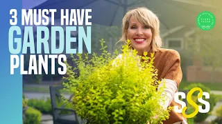Three Easy Must-Have Garden Plants For My Front and Back Yard