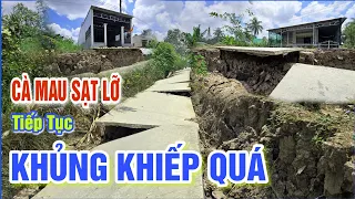 QUÁ KHỦNG KHIẾP SẠT LỠ CHIA CẮT CẢ XÓM - BÀ CON CÀ MAU KÉO NHAU BẮT CÁ MẮC CẠN, KÊNH RẠCH KHÔ NƯỚC