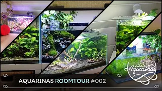 Alle meine Aquarien und deren Entwicklung nach 3 Monaten 🐟📈3️⃣📆 | Q2/2023 | Aquarinas Roomtour 2