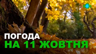 Прогноз погоди на 11 ЖОВТНЯ