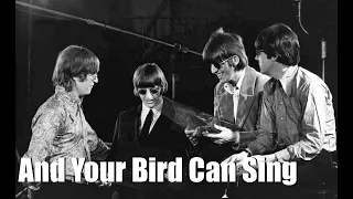 And Your Bird Can Sing backing track