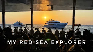 Red Sea Diving: Liveaboard My Red Sea Explorer (by Extra Divers Worldwide)