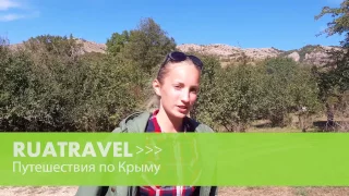 Ruatravel отзывы. Экскурсионный тур в Крым (16 26 N3)