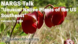 NARGS Talk - Zachary Hill - "Unusual Native Plants of the U. S. Southeast"