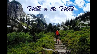 Walk in the Word - Aug. 19, 2020 - John 3-4