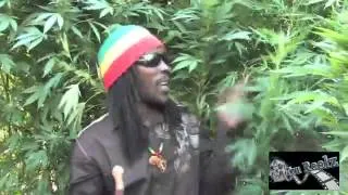 Marlon Asher - Ganja Cowboy [OFFICIAL VIDEO] By TRU REELZ PR