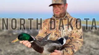 Film: North Dakota Waterfowl