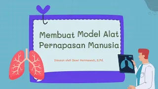 Membuat Model Alat Pernapasan Manusia