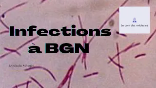 Infections à BGN