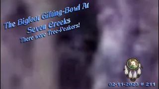 THE BIGFOOT GIFTING BOWL AT "SEVEN CREEKS". WE HAD TREE-PEAKERS! Read Below