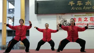 Chen Taijiquan LaojiaYilu- Kungfu Nite / 陈式太极拳老架一路  - 功夫之夜