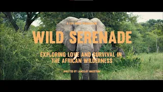 WILD SERENADE: Exploring Love and Survival in the African Wilderness