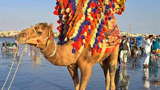 🇵🇰 CLIFTON BEACH KARACHI PAKISTAN, WALKING TOUR, KARACHI CITY WALK, 4K60FPS