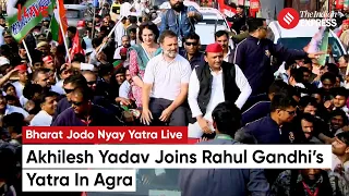 Bharat Jodo Nyay Yatra LIVE: Akhilesh Yadav Joins Rahul 's Yatra In Agra, Days After Seat-Share Deal