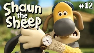 Ewe've Been Framed | Shaun the Sheep Season 2 | Full Episode