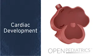 Cardiac Development by L. McCabe | OPENPediatrics