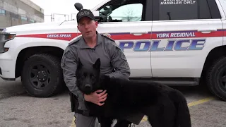 Help YRP name the newest member of our Canine Unit