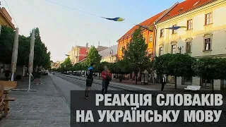 Українська мова в Словаччині. Перехожі спантеличені!