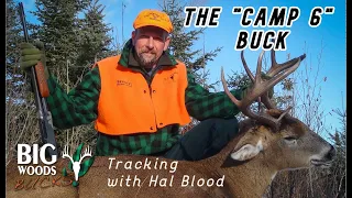 The "Camp 6" Buck | Tracking with Hal Blood