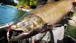 FISHING With a Salmon & Steelhead LEGEND! (JACK Salmon Catch N' Cook!)