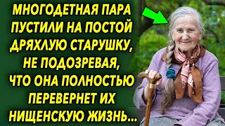 Многодетная пара пустили на постой старушку, не подозревая, что она полностью перевернет их жизнь…