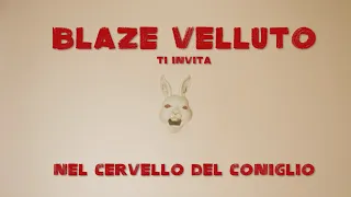 The Blaze Velluto Collection - The Rabbit Song [official video]