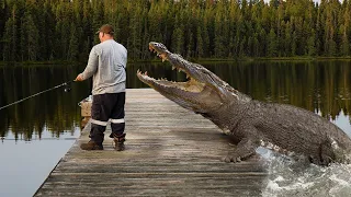 Scariest Crocodile Encounters So Far in 2023 in 1 Hour