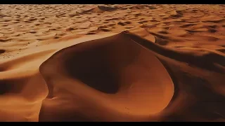 ALIVE | Merzouga 4K