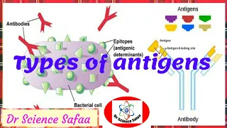 Antigens, Immunogens, types of antigens #endogenous_antigen