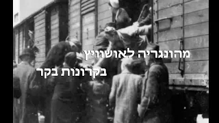 ברכבות לאושוויץ 11