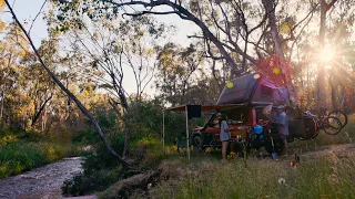 Our first time fossicking - I can't believe our luck! / Beechworth & Eldorado