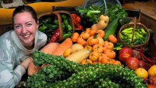 The Final Big HARVEST from the 2023 GARDEN | 1/4 Acre Homestead