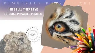 Tiger Eye Tutorial Pastel Pencils
