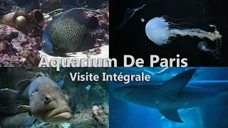 Aquarium de Paris Visite Intégral - La Nature Est Si Merveilleuse Et Insolite -1080p60 Ultra