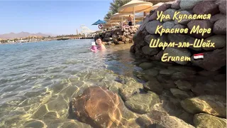 УРА Купаемся 🏊‍♀️ Красное море 🌊 Египет Шарм-эль-Шейх 🇪🇬