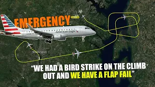 BIRD STRIKE CAUSES FLAP FAIL on takeoff from Washington-National Airport, DC