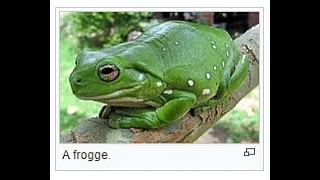 FROGGE 2: RETURN OF THE FROGGE