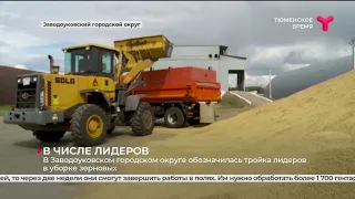 В Заводоуковском городском округе обозначилась тройка лидеров в уборке зерновых