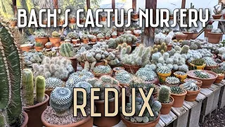 Bach's Cactus Nursery Redux | Plant Shopping + Rare Specimen Greenhouse Tour + Mini Plant Haul