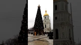 Christmas tree with a hat. Kyiv. Ukraine. Ёлка в шляпе. Киев. Украина. Ялинка в капелюсі. Київ.