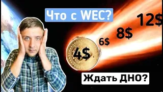 Почему падает монета WEC? Коррекция или упадёт в пол